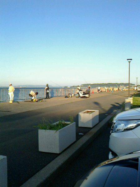 サバ～アジ～アジ～