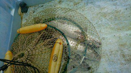 朽木渓流魚センタールアーフィールド。