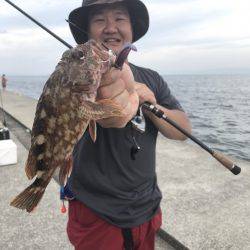 神戸沖堤タチウオワイド‼