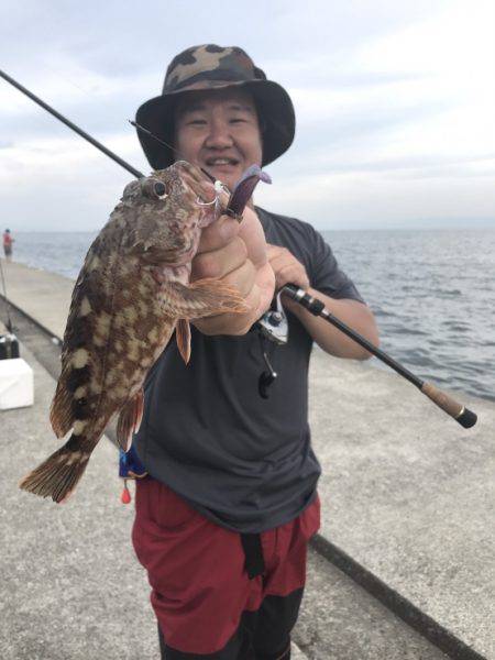 神戸沖堤タチウオワイド‼