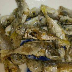 本命のヒラメは釣れなくて外道が釣れる(笑)