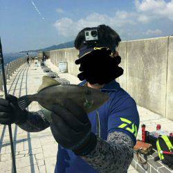 朝ショアジギ 昼夜アジング