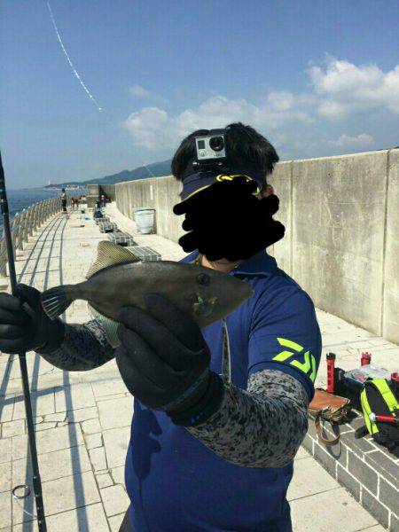 朝ショアジギ 昼夜アジング