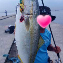 ポーアイ沖堤防に行ってきました‼