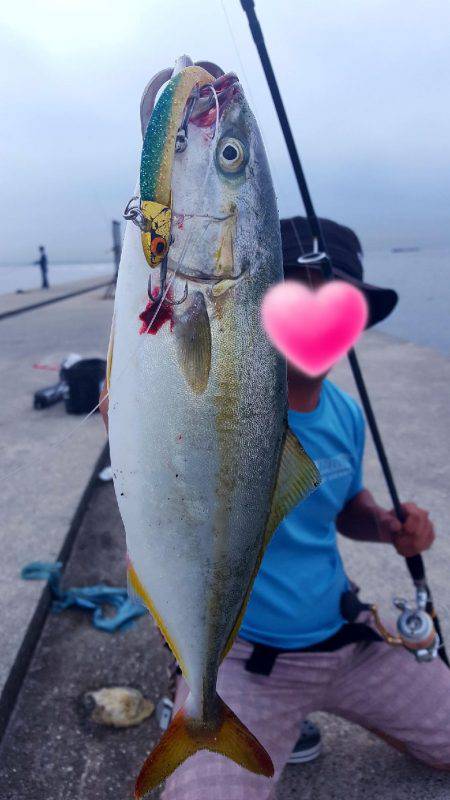 ポーアイ沖堤防に行ってきました‼