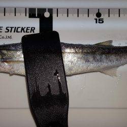 五目ならず爆風苦戦