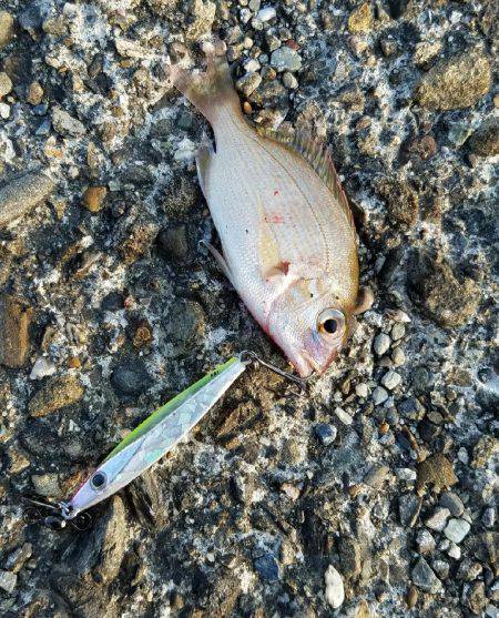 スーパーライトショアジギング！