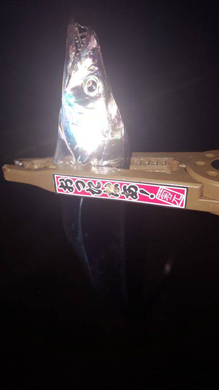 やっぱりMNGは最強ですわ!