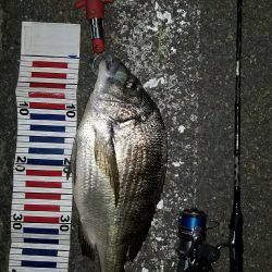 チニング( ´∀｀ )b