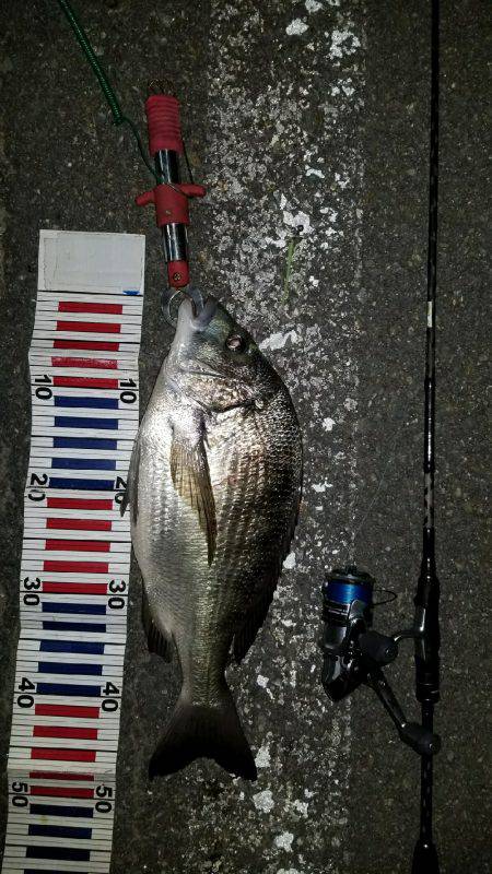 チニング( ´∀｀ )b