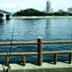 タコまだ少なめ・・・