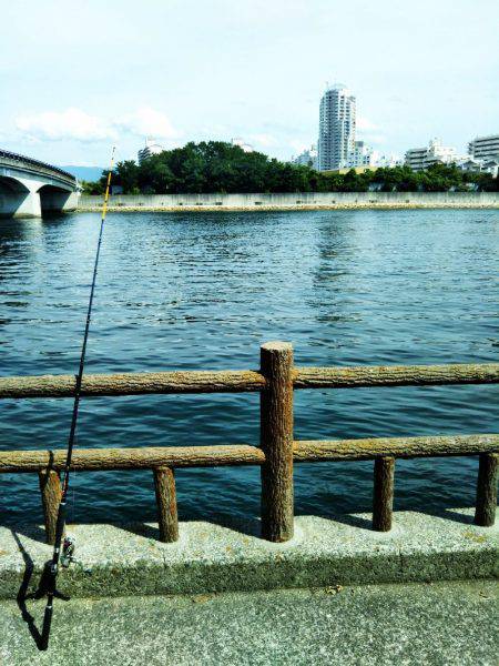 タコまだ少なめ・・・