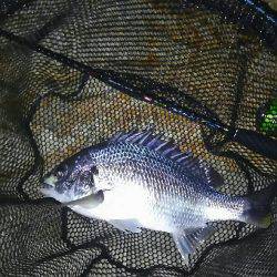 短時間チニング