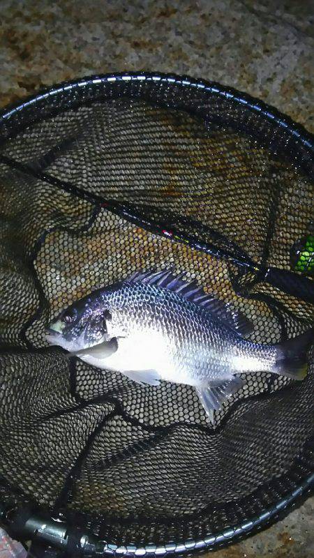 短時間チニング