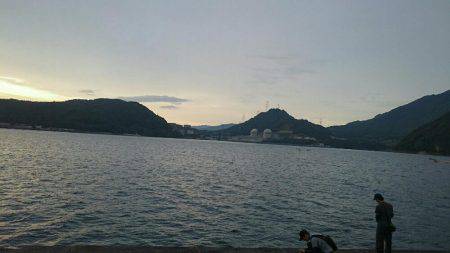 ケンサキエギング