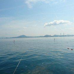 今日も小サバゲーム