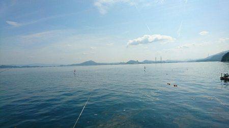 今日も小サバゲーム