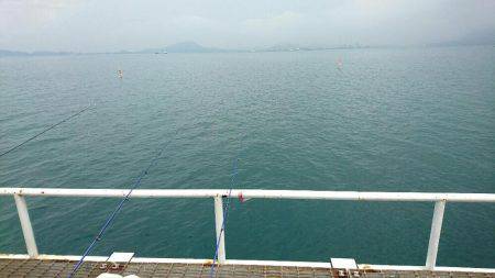 投げサビキでも釣れた‼