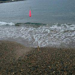 ファミリーキャンプ！2日目