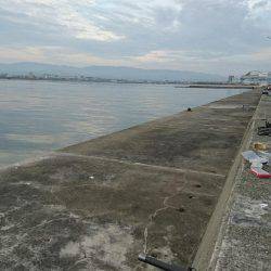 初めてのタコ釣り