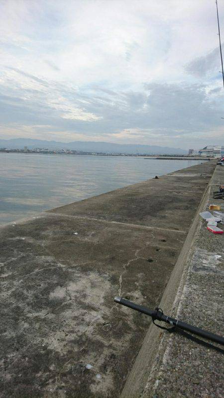 初めてのタコ釣り