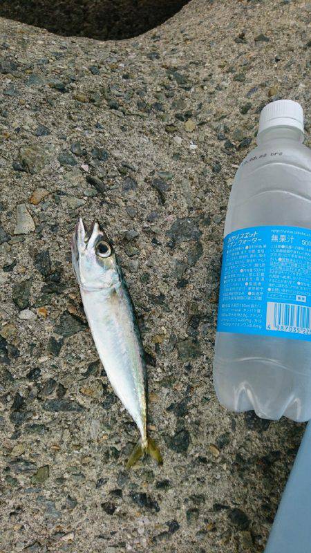 久しぶりの釣行