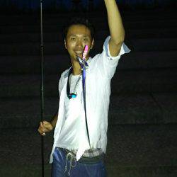 夏タチウオ調査