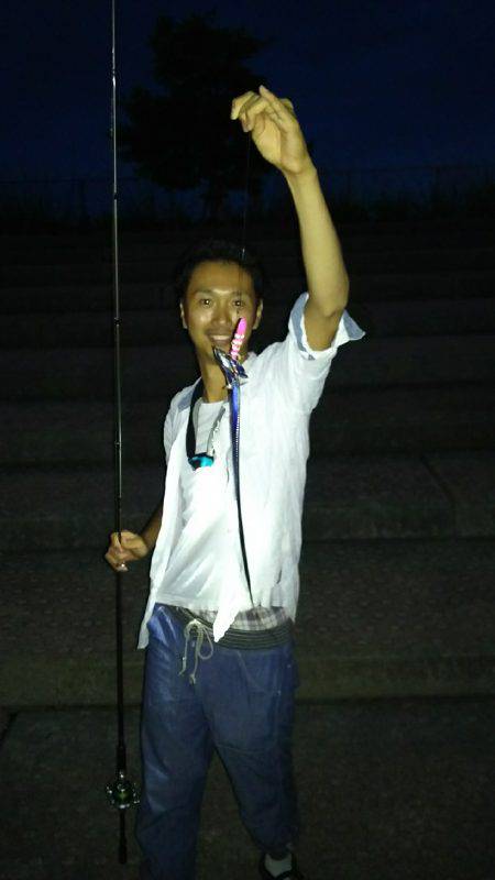 夏タチウオ調査