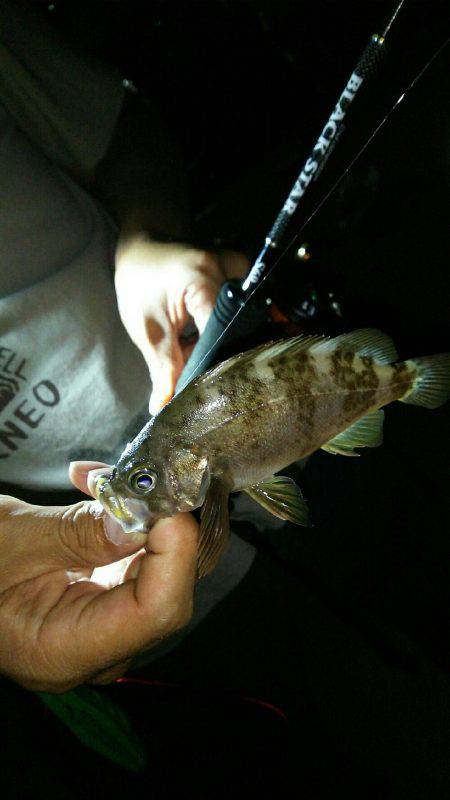 友人達とラスト？メバリング