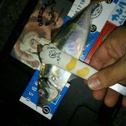 放置styleアジング(笑)