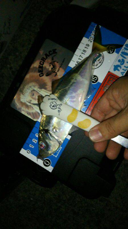 放置styleアジング(笑)