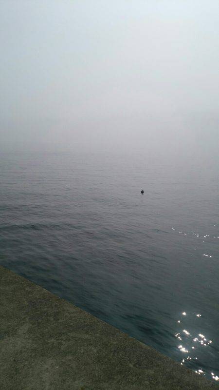 久々のキス釣り