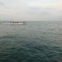 早朝 投げタコ♪