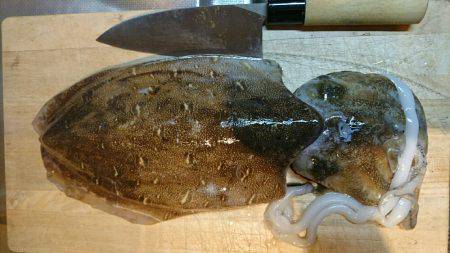 ケンサキ狙いでコウイカ(^^)