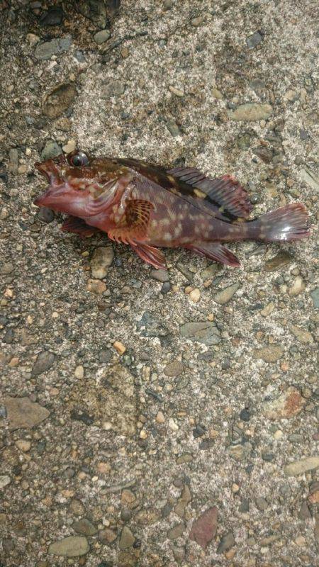 チビッ子ばかり。