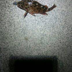 暑い。かなり暑い。