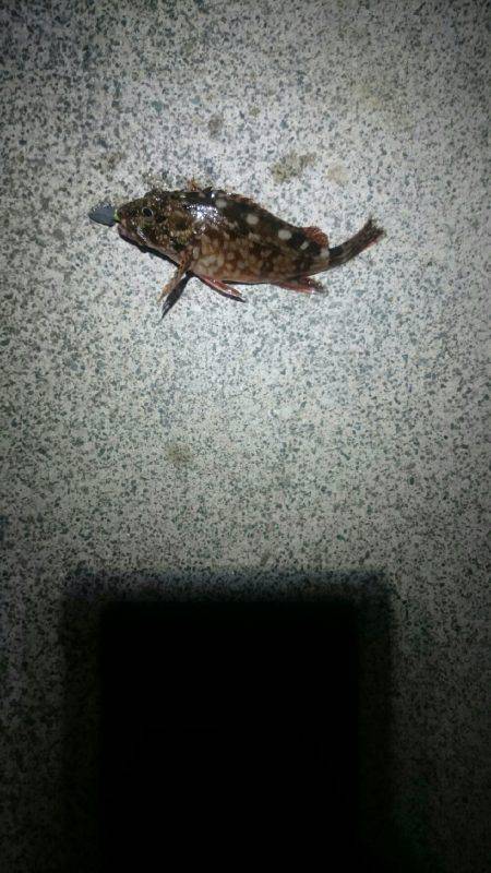 暑い。かなり暑い。