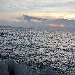 タコのちツバス