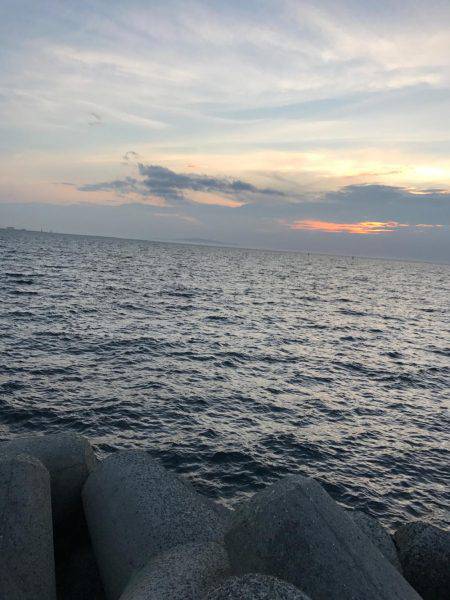 タコのちツバス