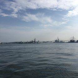 ショアジギング