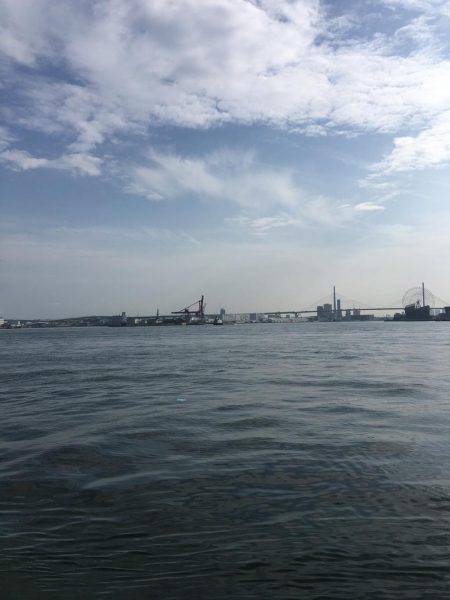 ショアジギング