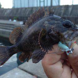 久しぶりに朝まで行って来ました！！