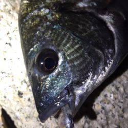 爆風ライトゲーム