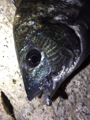 爆風ライトゲーム