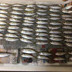 ファミリーフィッシング