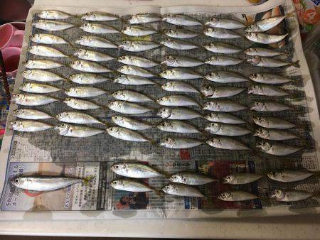 ファミリーフィッシング