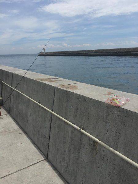 アジとスズメダイ