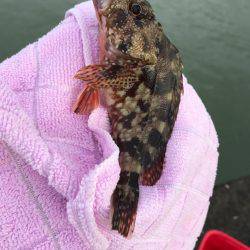 上川口漁港にて