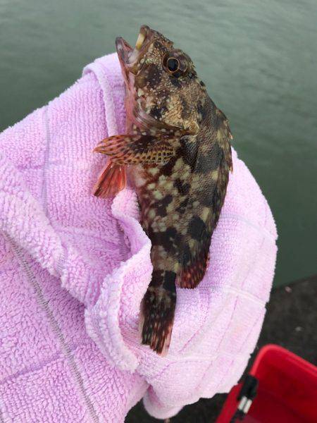 上川口漁港にて