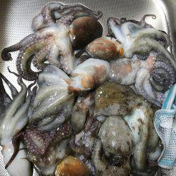 夜勤前にちょいと